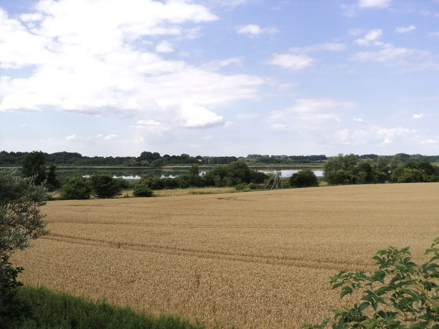 Malliner See, Landkreis Mecklenburgische Seenplatte