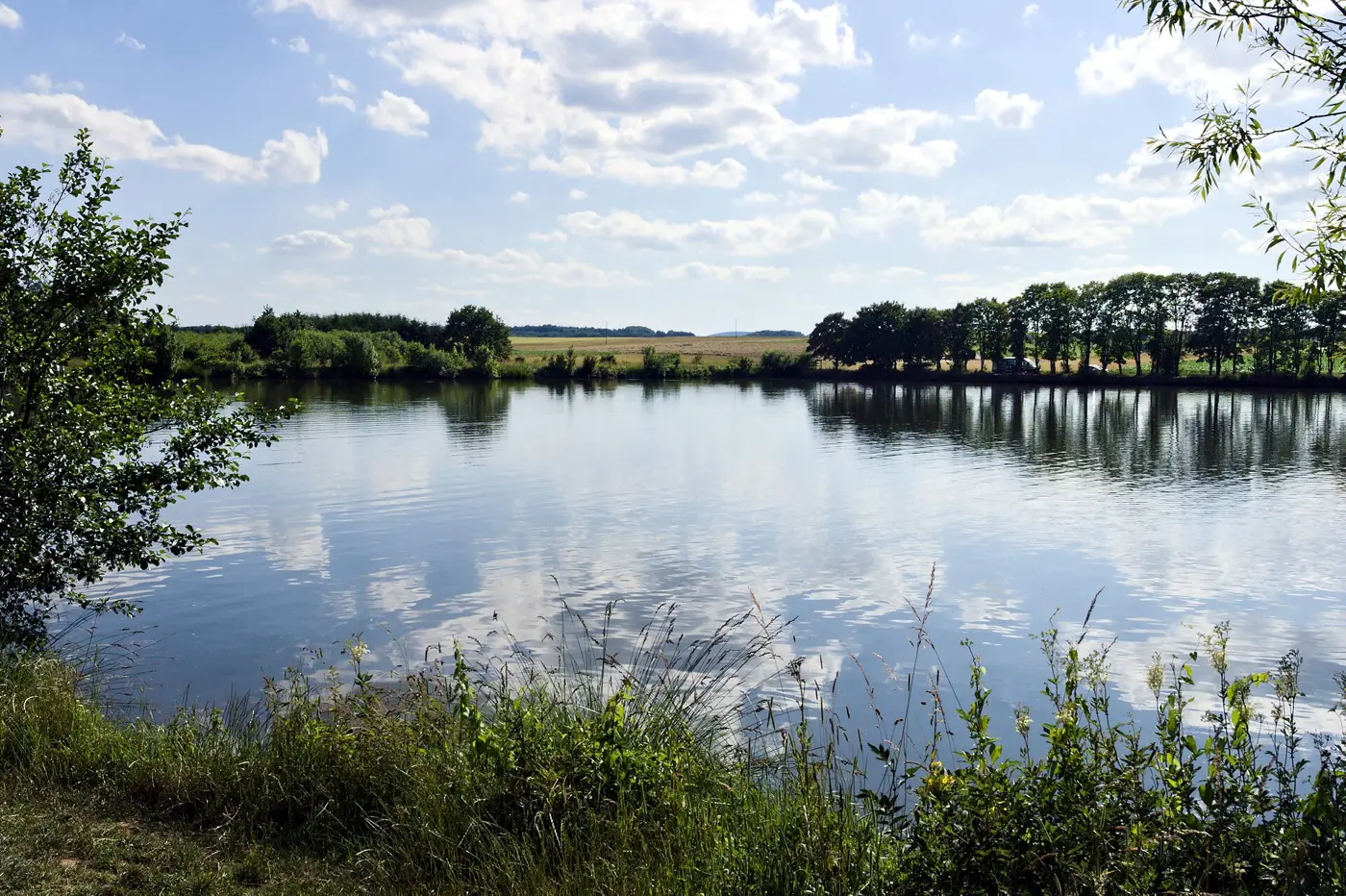 Marother Waldsee, Landkreis Neuwied