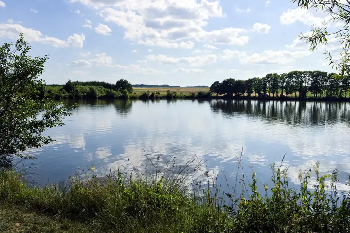 Marother Waldsee, Landkreis Neuwied