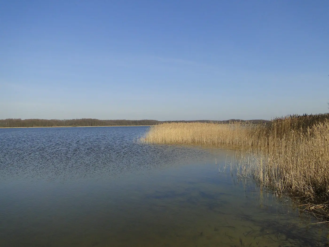 Massower See, Landkreis Mecklenburgische Seenplatte