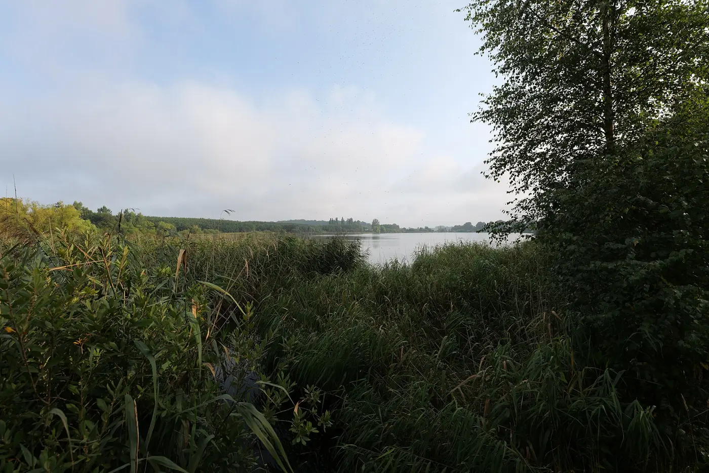Melzer See, Landkreis Mecklenburgische Seenplatte
