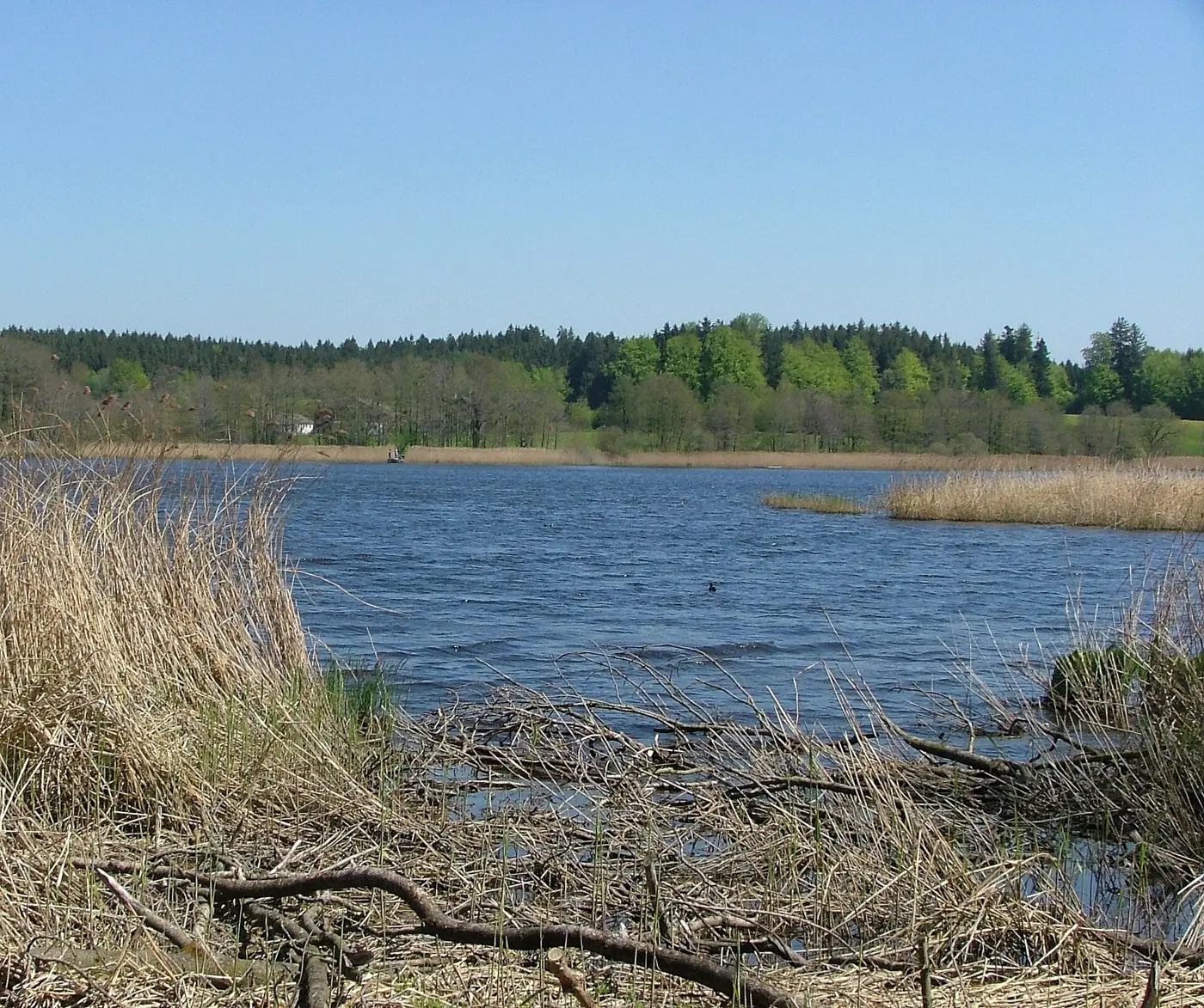 Metzisweiler Weiher, Landkreis Ravensburg