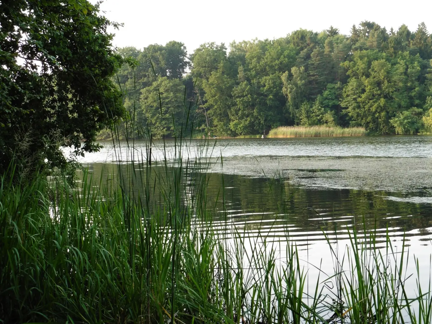 Mönchsteich, Kreis Stormarn