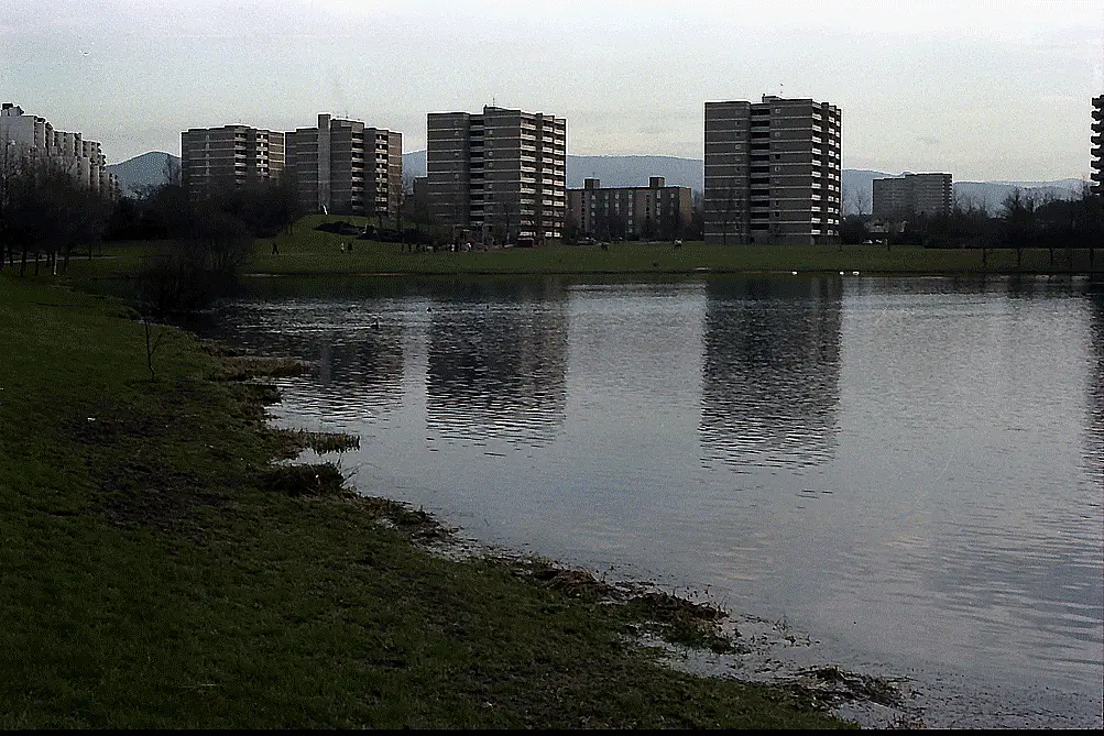 Moosweiher, Freiburg im Breisgau
