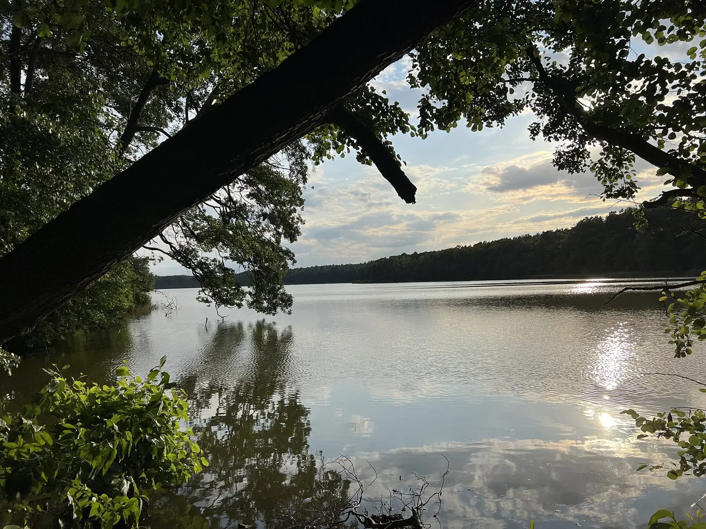 Mühlenbecker See, Landkreis Oberhavel
