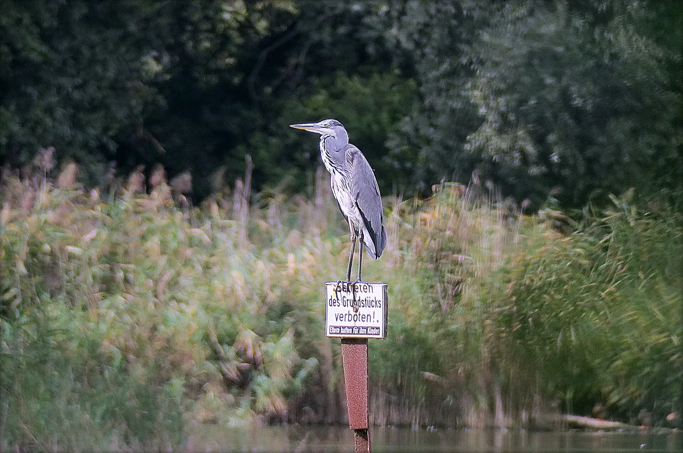 Mühlensee, Landkreis Oberhavel