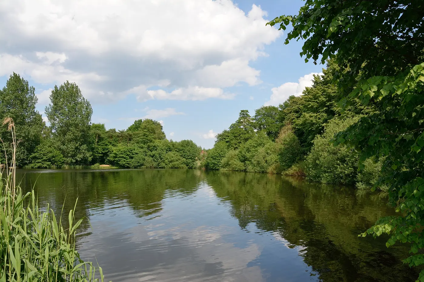 Mühlenteich, Kreis Steinburg