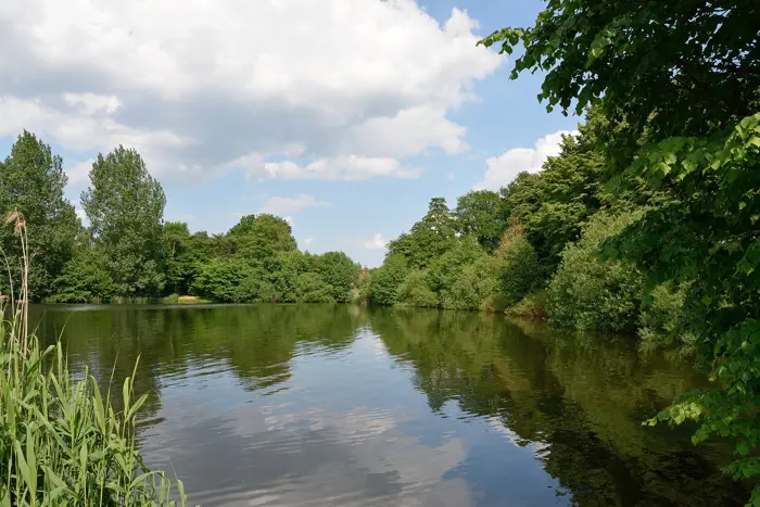 Mühlenteich, Kreis Steinburg