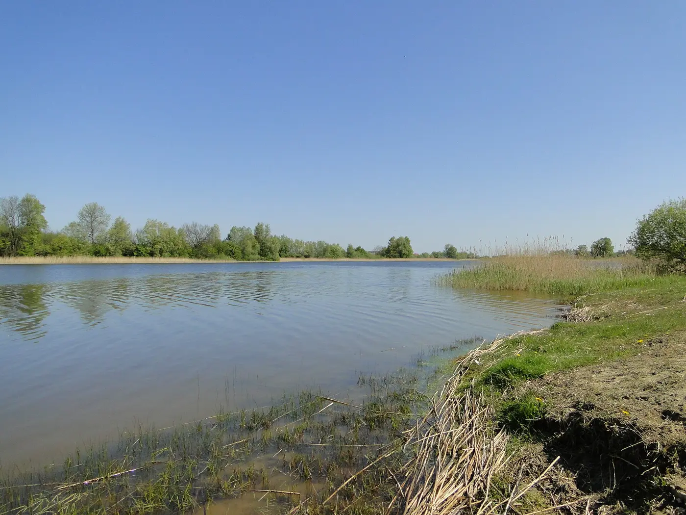 Neetzkaer See, Landkreis Mecklenburgische Seenplatte