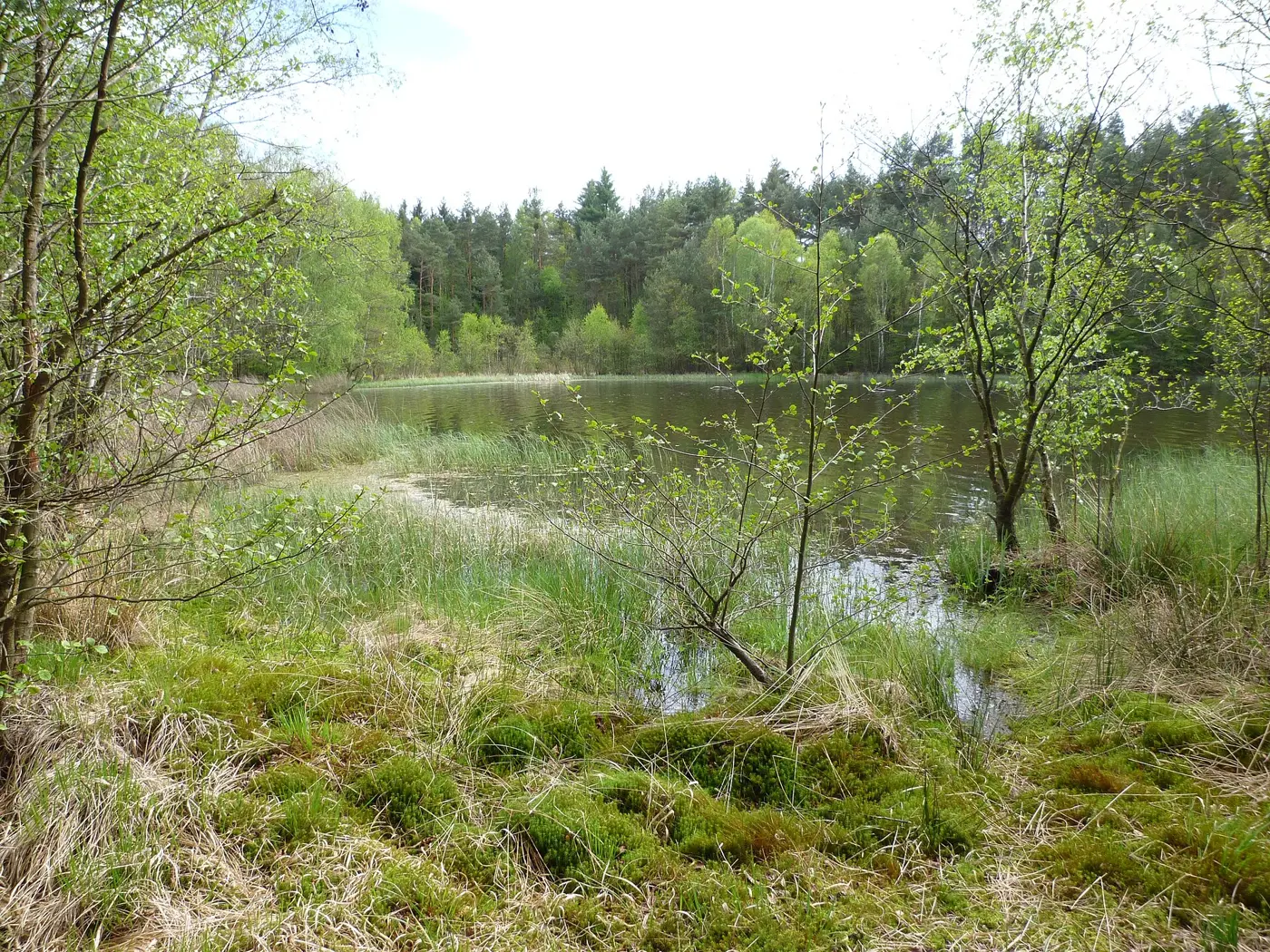 Neubäuer See, Landkreis Cham