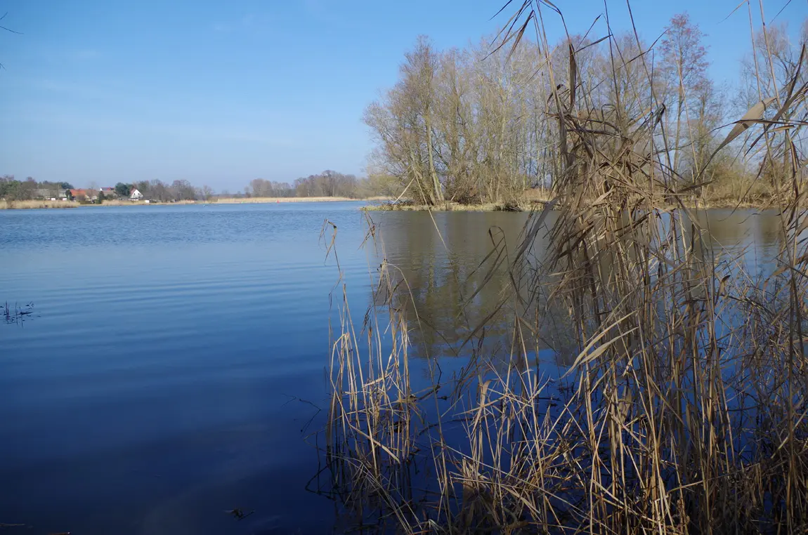 Neuendorfer See, Landkreis Dahme-Spreewald