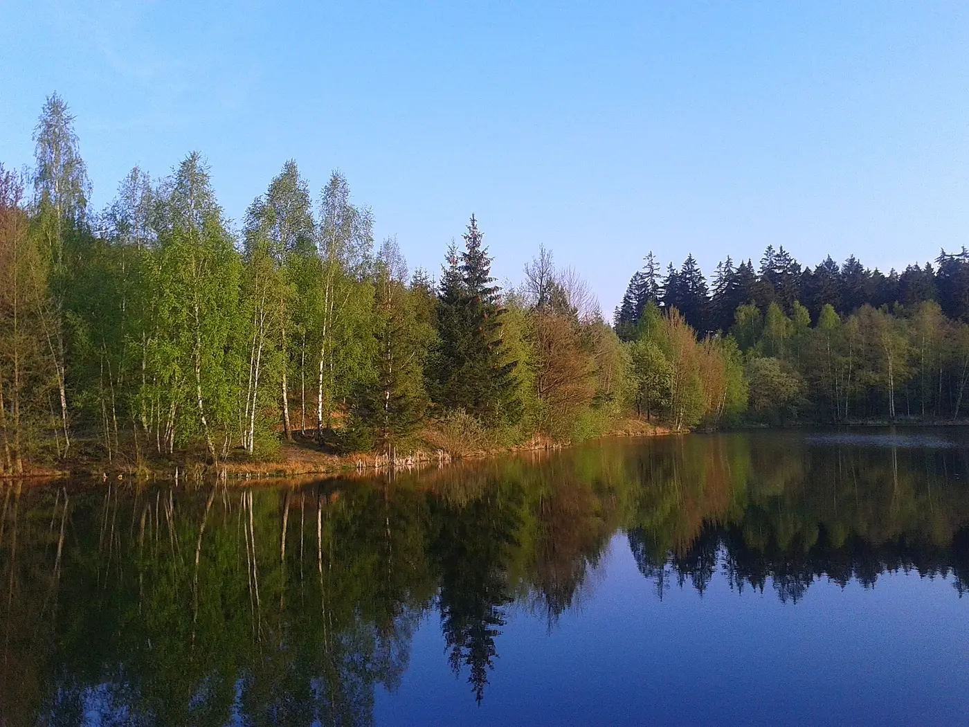 Neuer Teich, Landkreis Harz