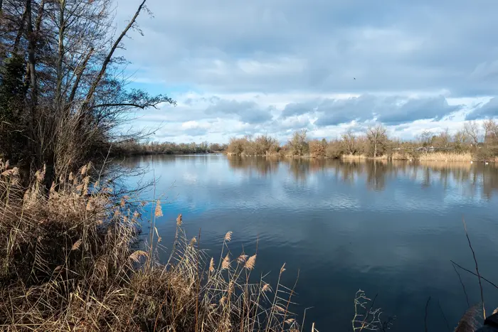 Neuhofener Altrhein, Rhein-Pfalz-Kreis