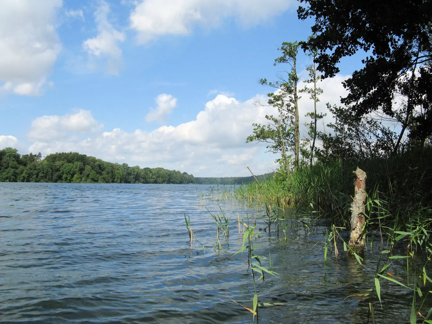 Neumühler See, Schwerin
