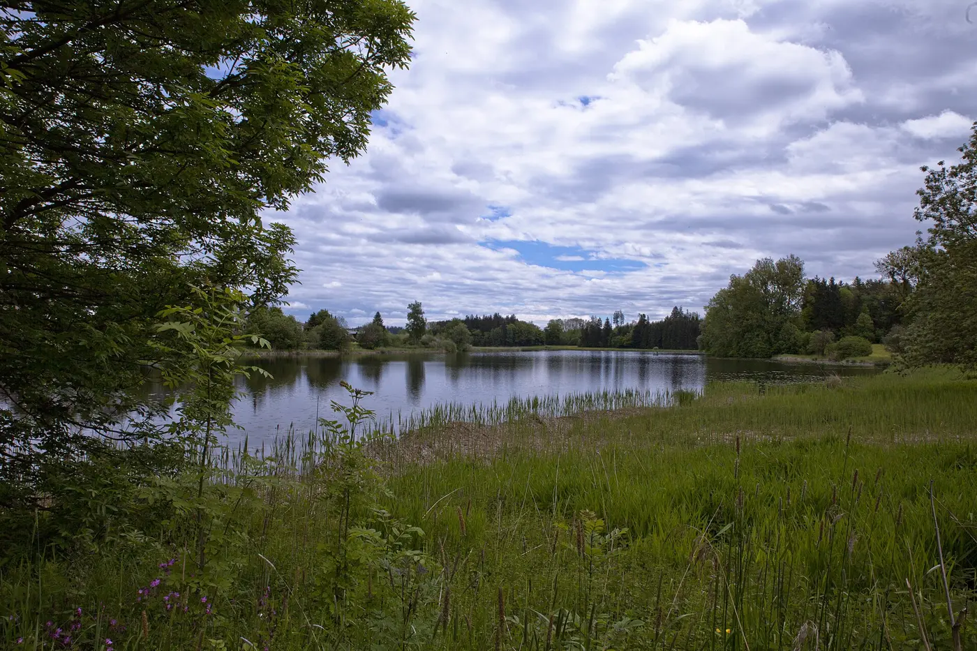 Neuravensburger Weiher, Landkreis Ravensburg