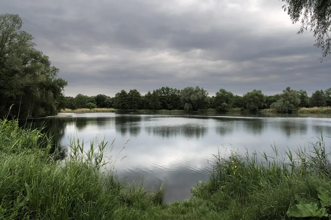 Niederwiesenweiher, Rhein-Pfalz-Kreis