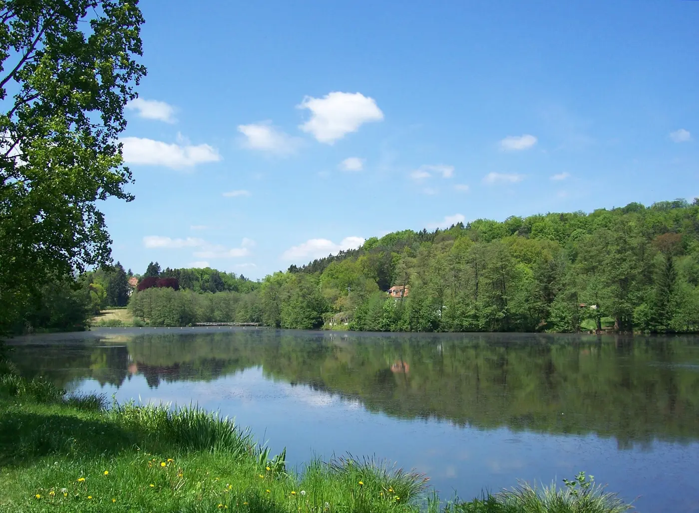 Niederwürzbacher Weiher, Saarpfalz-Kreis