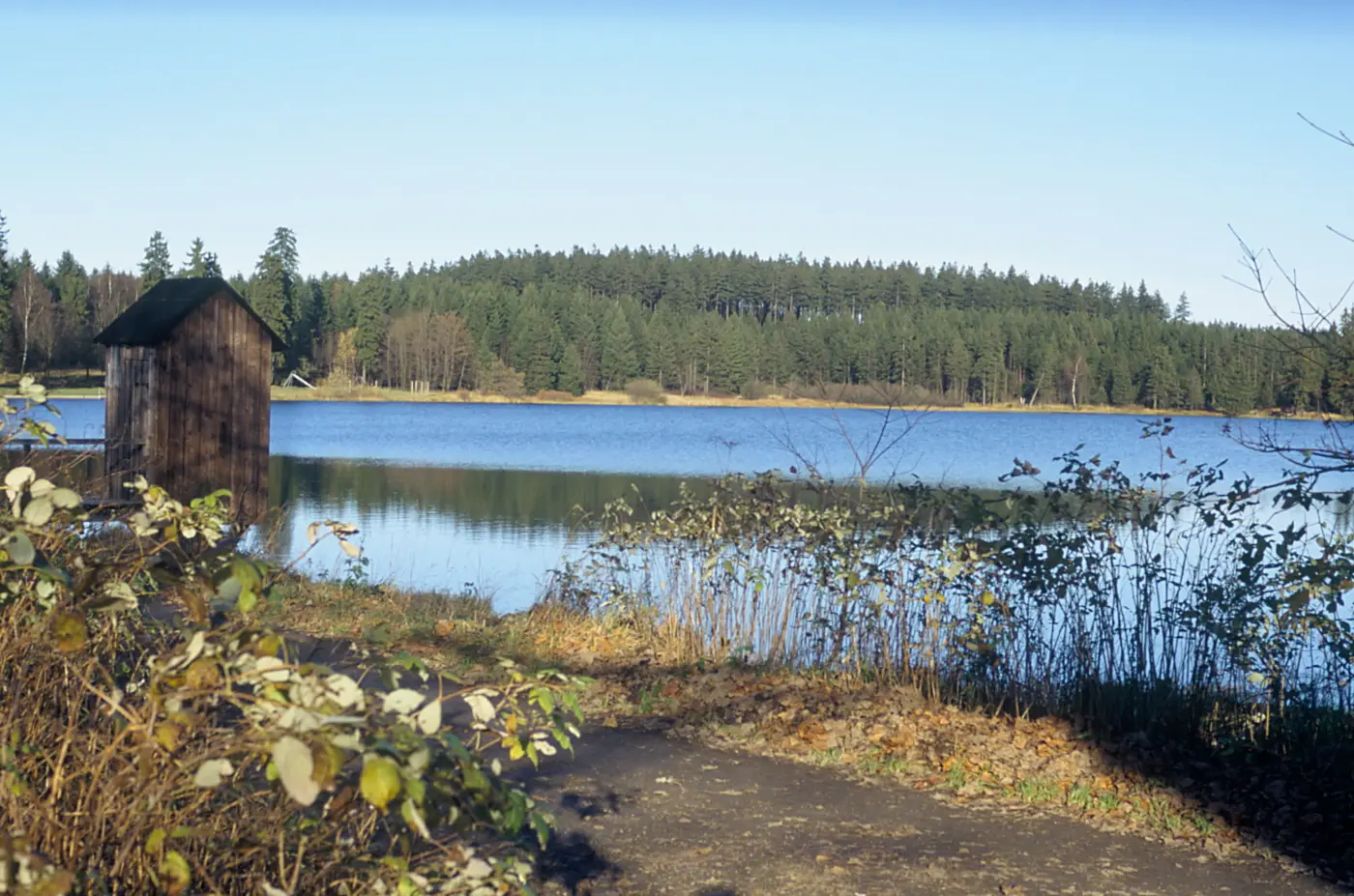 Oberer Hausherzberger Teich, Landkreis Goslar