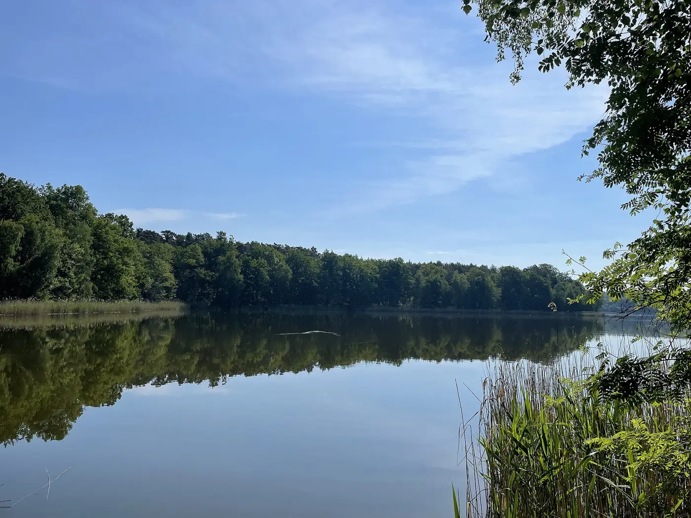 Oderiner See, Landkreis Dahme-Spreewald