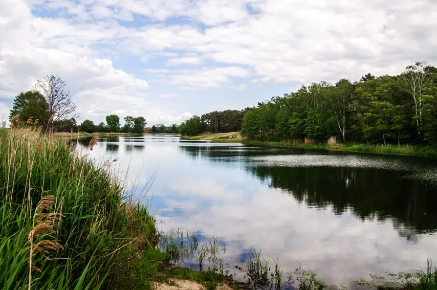 Parchauer See, Landkreis Jerichower Land