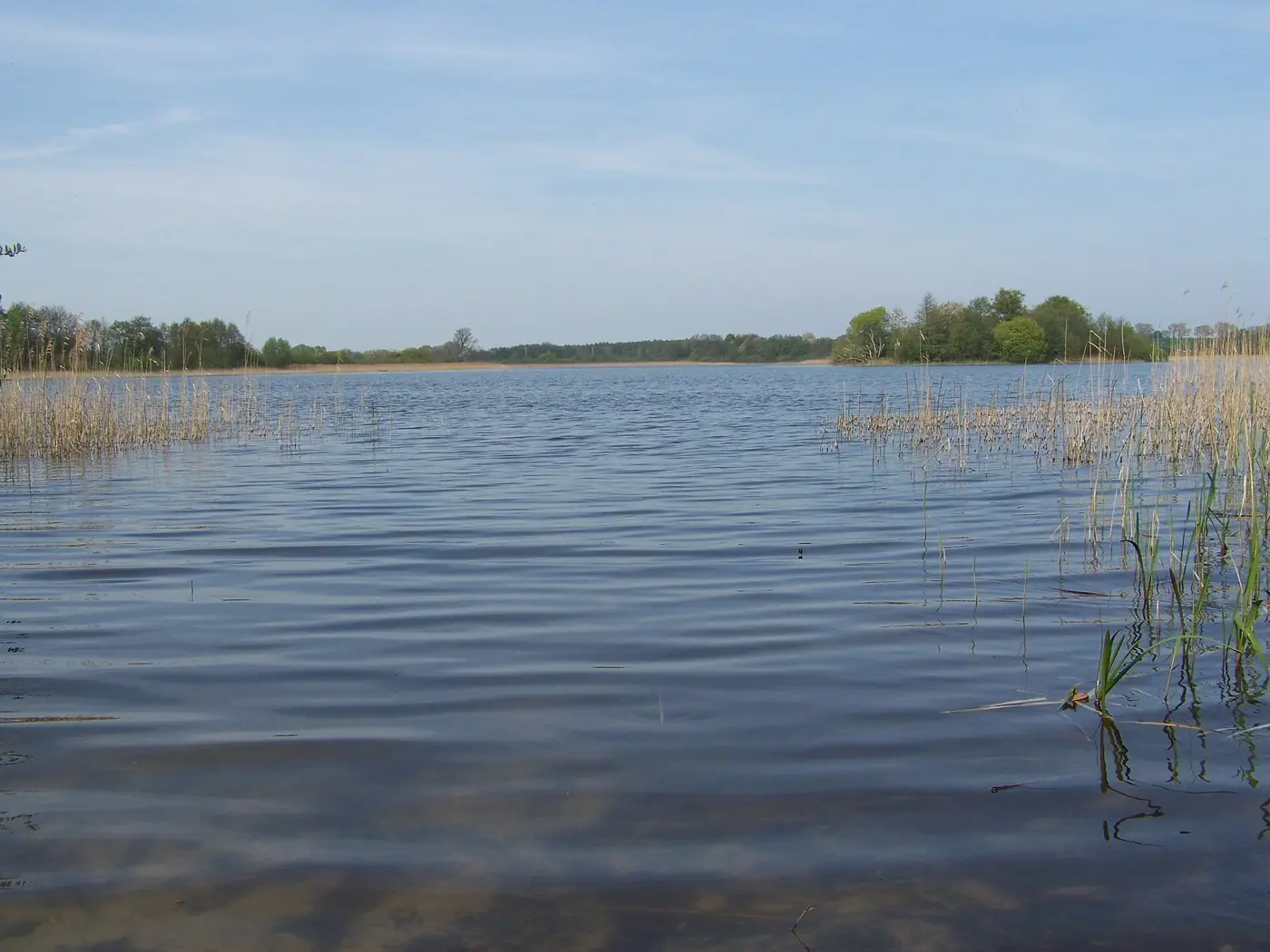 Pütter See, Landkreis Vorpommern-Rügen