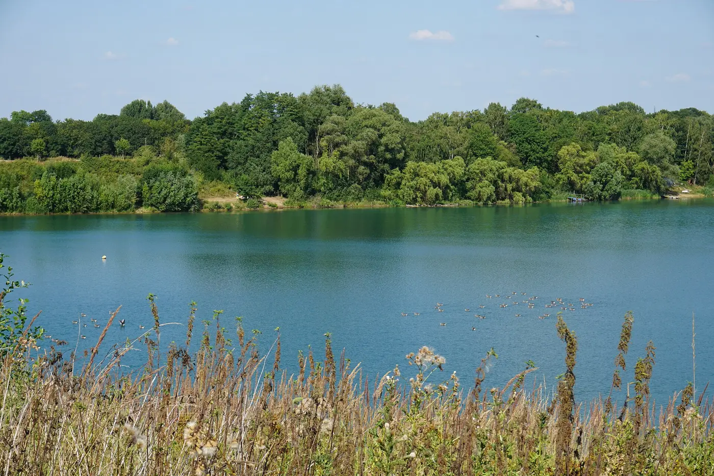 Pulheimer See, Rhein-Erft-Kreis