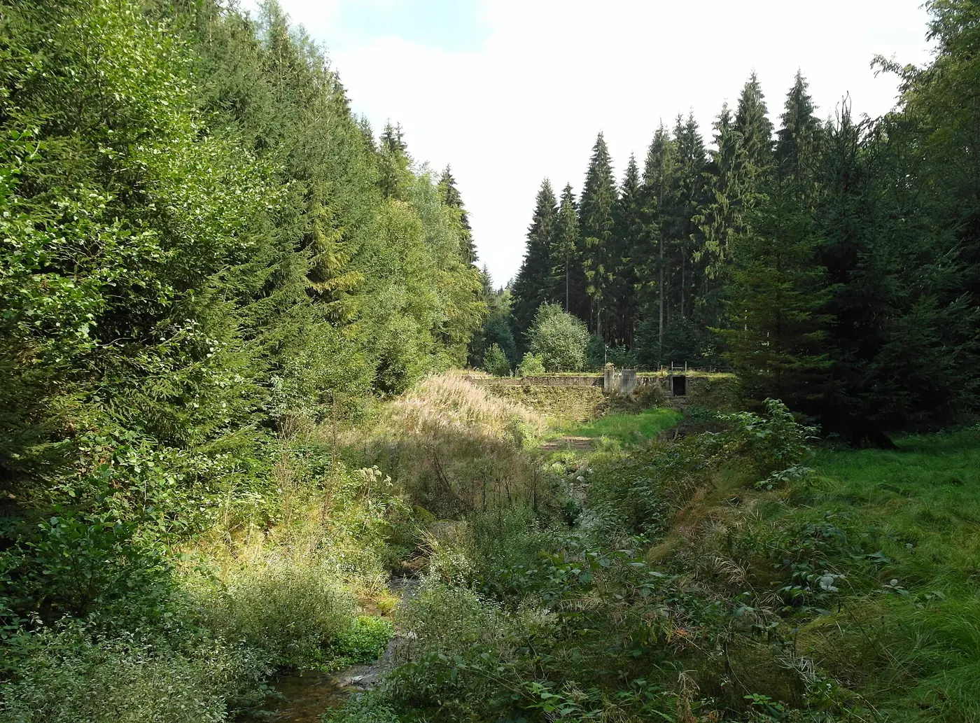 Pulvermühlenteich, Landkreis Harburg