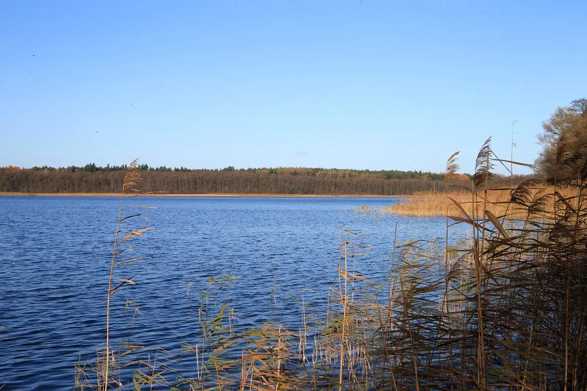 Rätzsee, Landkreis Mecklenburgische Seenplatte