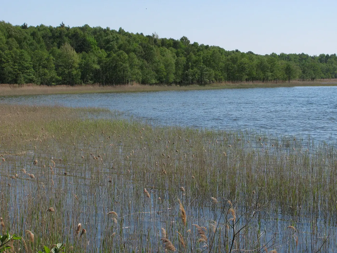 Rederangsee, Landkreis Mecklenburgische Seenplatte