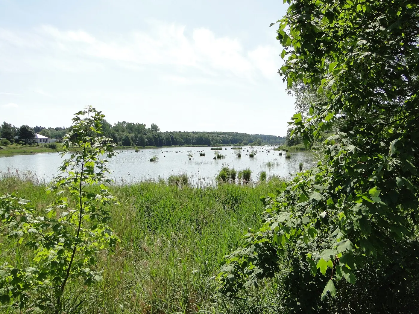 Rehmsee, Landkreis Nordwestmecklenburg