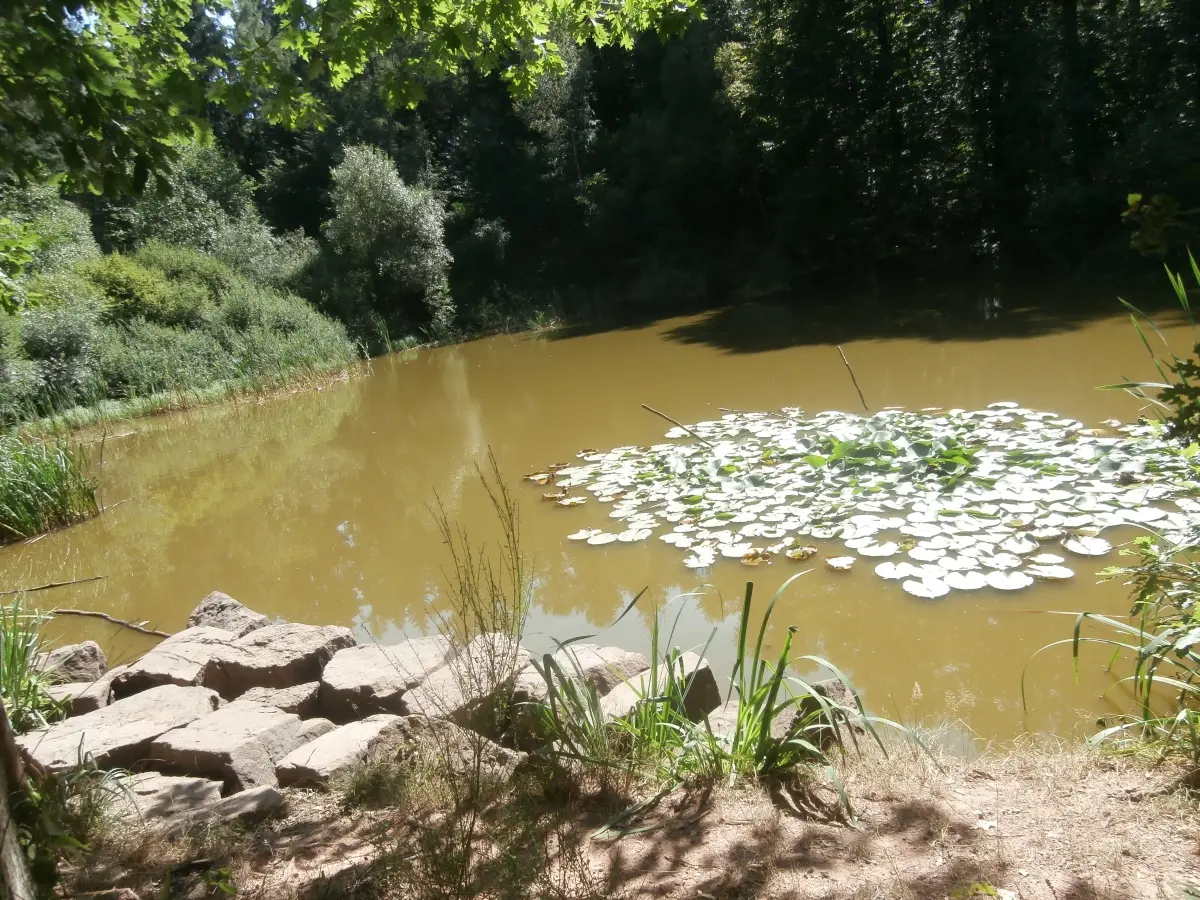 Reihersee, Landkreis Lüneburg