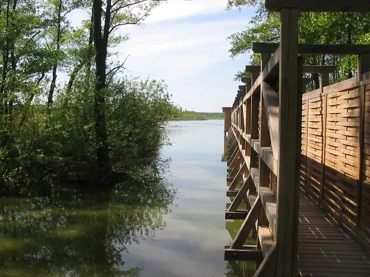 Riebener See, Landkreis Potsdam-Mittelmark