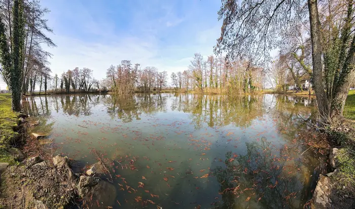 Riedsee, Landkreis Groß-Gerau