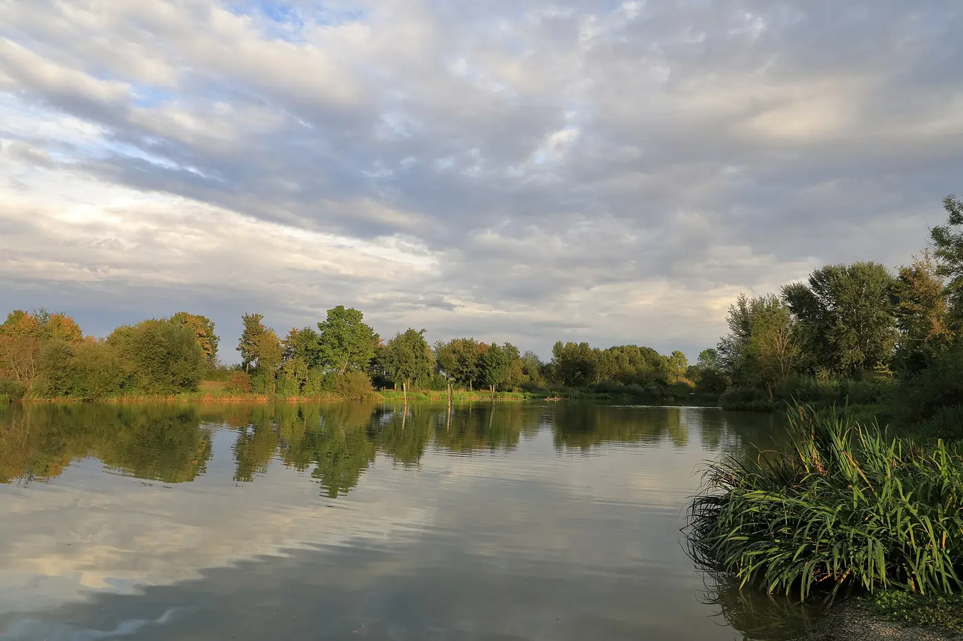 Rinderfelder See, Main-Tauber-Kreis