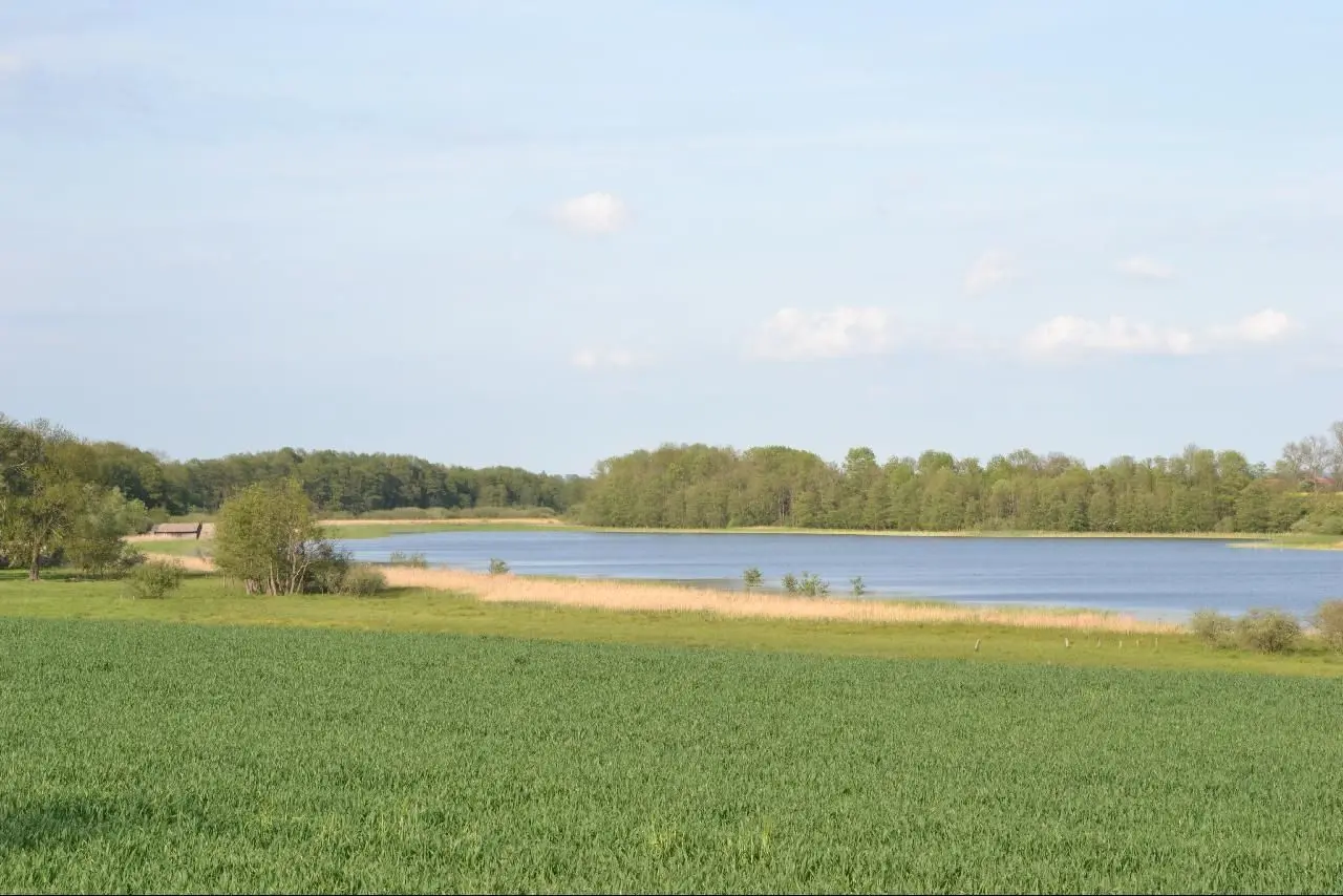 Rittermannshagener See, Landkreis Mecklenburgische Seenplatte