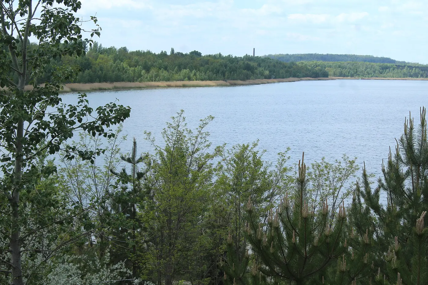Runstedter See, Saalekreis