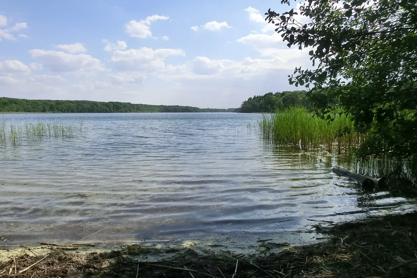Sacrower See, Potsdam
