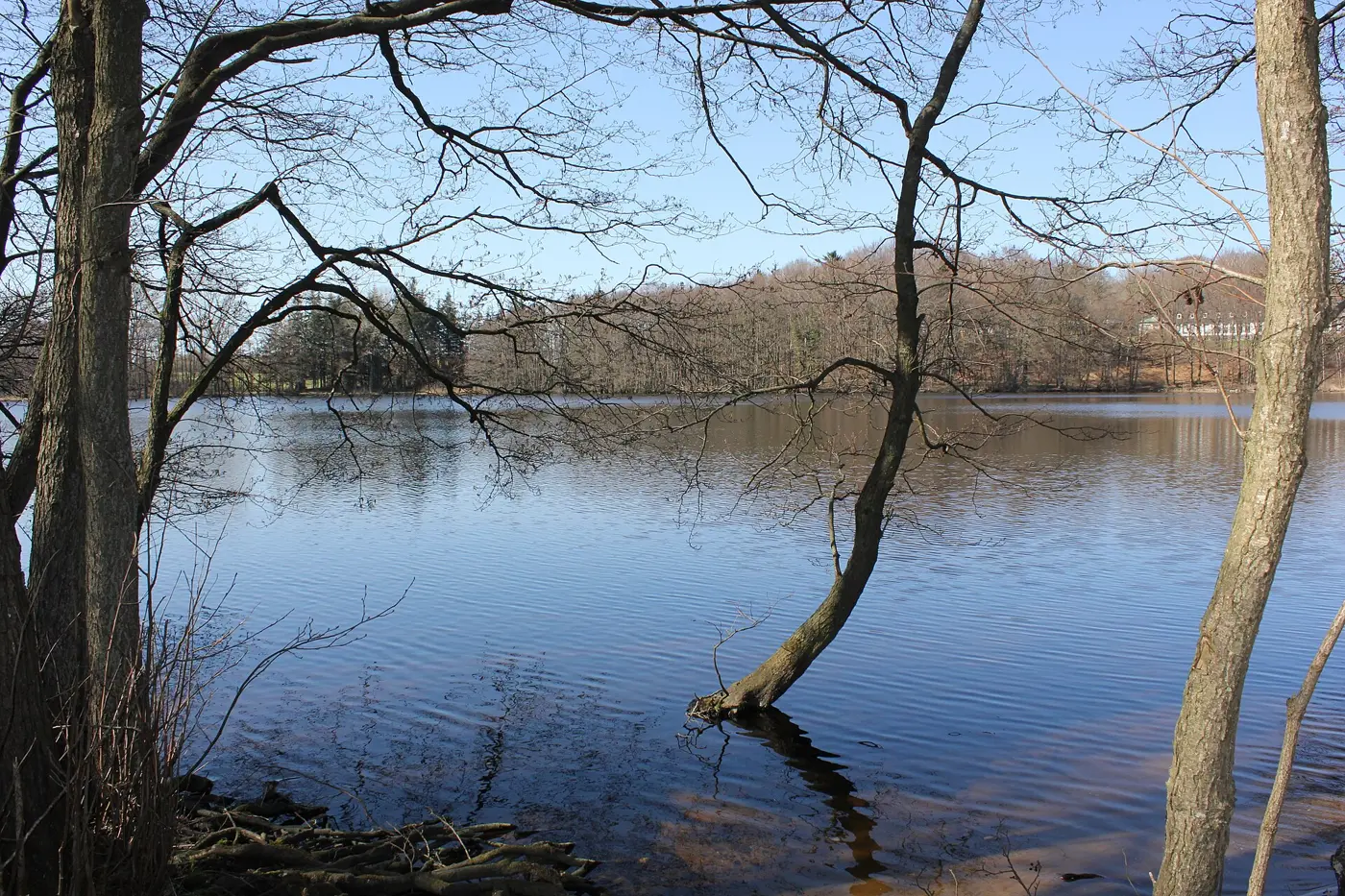 Sankelmarker See, Kreis Schleswig-Flensburg
