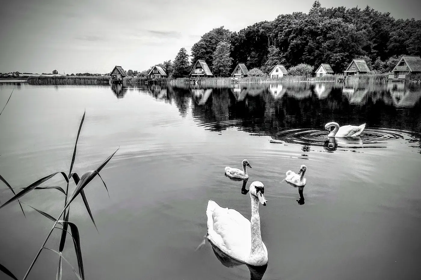 Schillersee, Landkreis Rostock