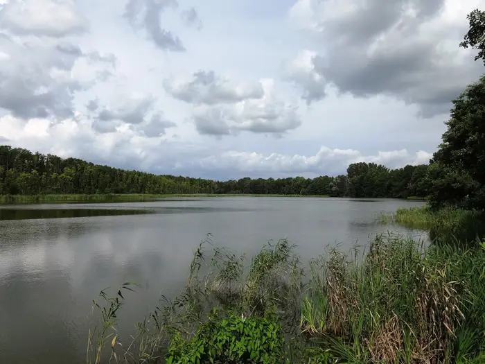 Schlosssee, Bodenseekreis