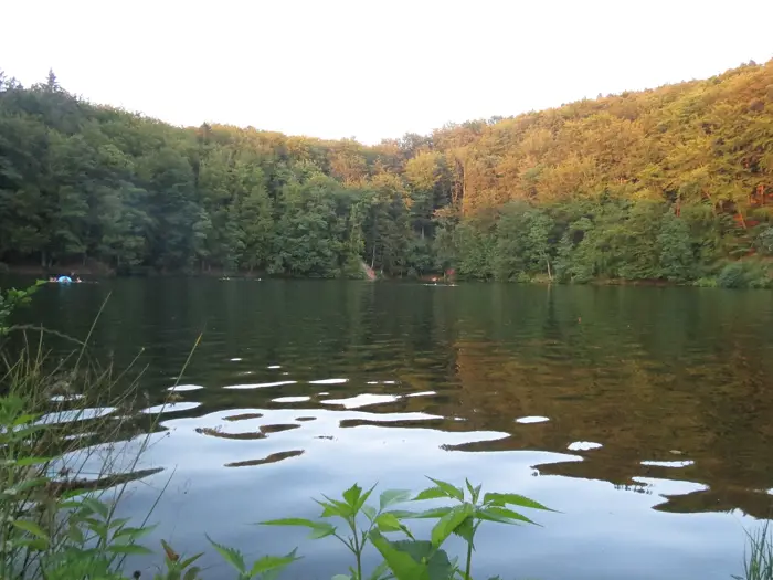Schönsee, Wartburgkreis