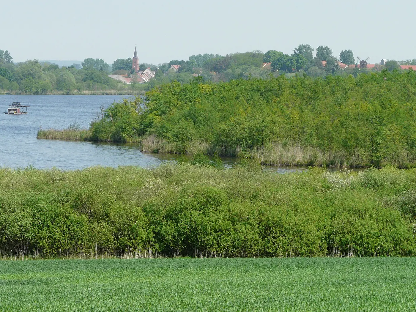 Schollener See, Landkreis Stendal