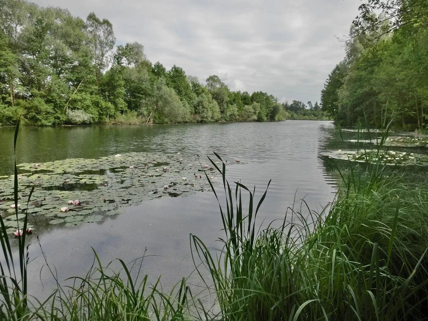 Schwackenreuter Baggerseen, Landkreis Konstanz