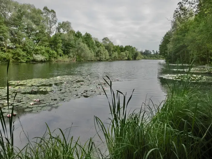 Schwackenreuter Baggerseen, Landkreis Konstanz