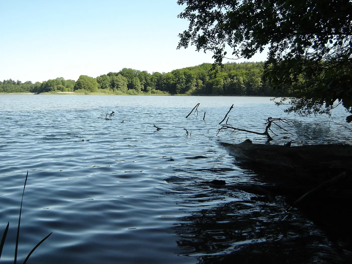 Schwarzer See, Landkreis Ludwigslust-Parchim