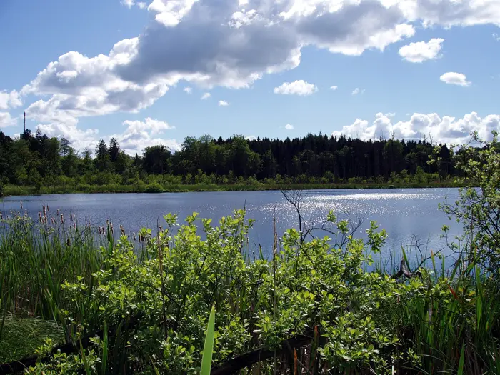 Schwarzer See, Landkreis Märkisch-Oderland