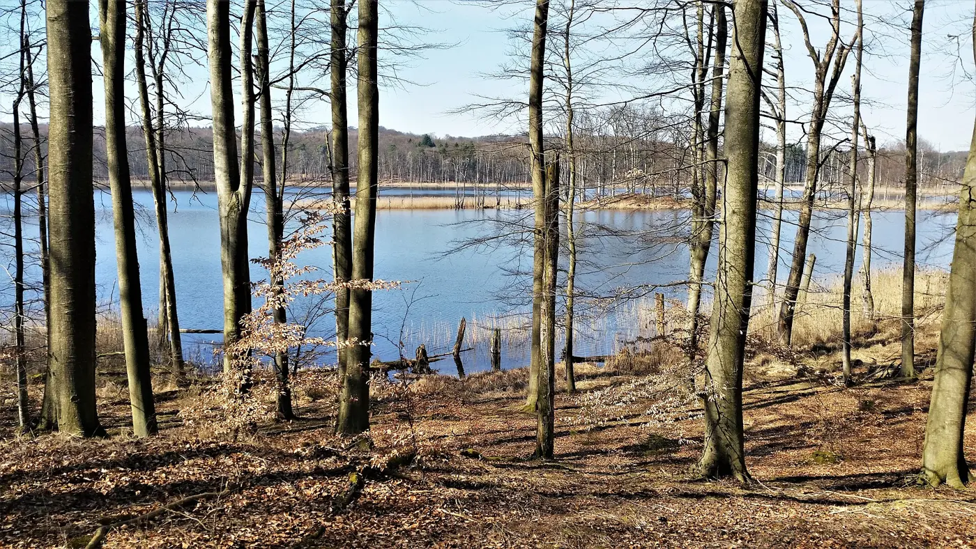 Schweingartensee, Landkreis Mecklenburgische Seenplatte