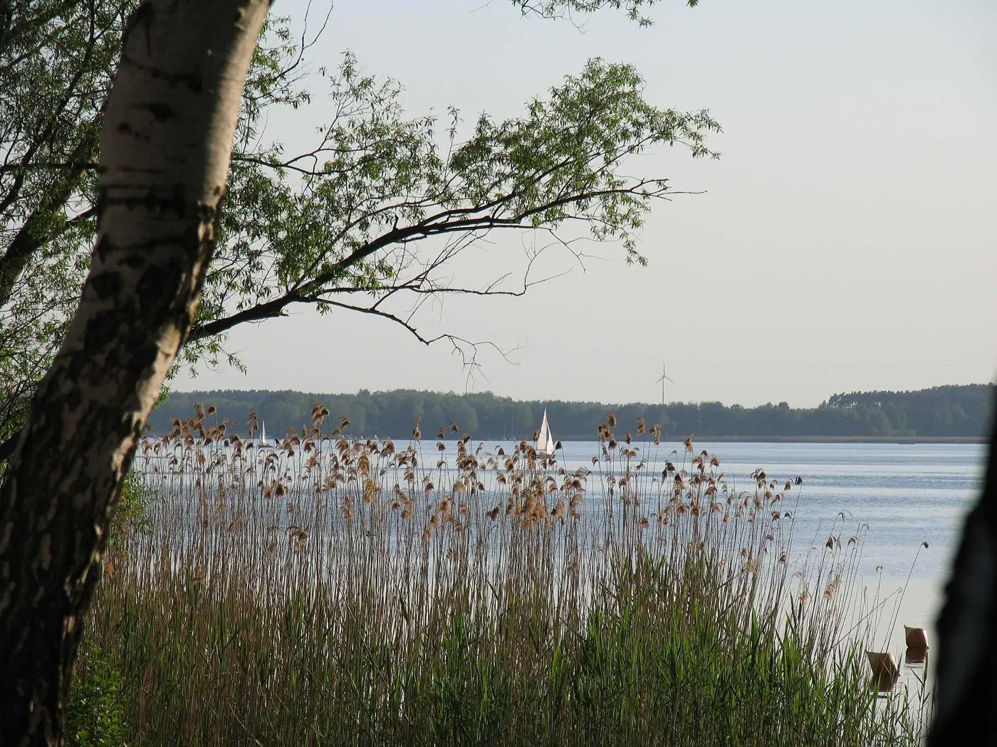 Schwielochsee, Landkreis Dahme-Spreewald