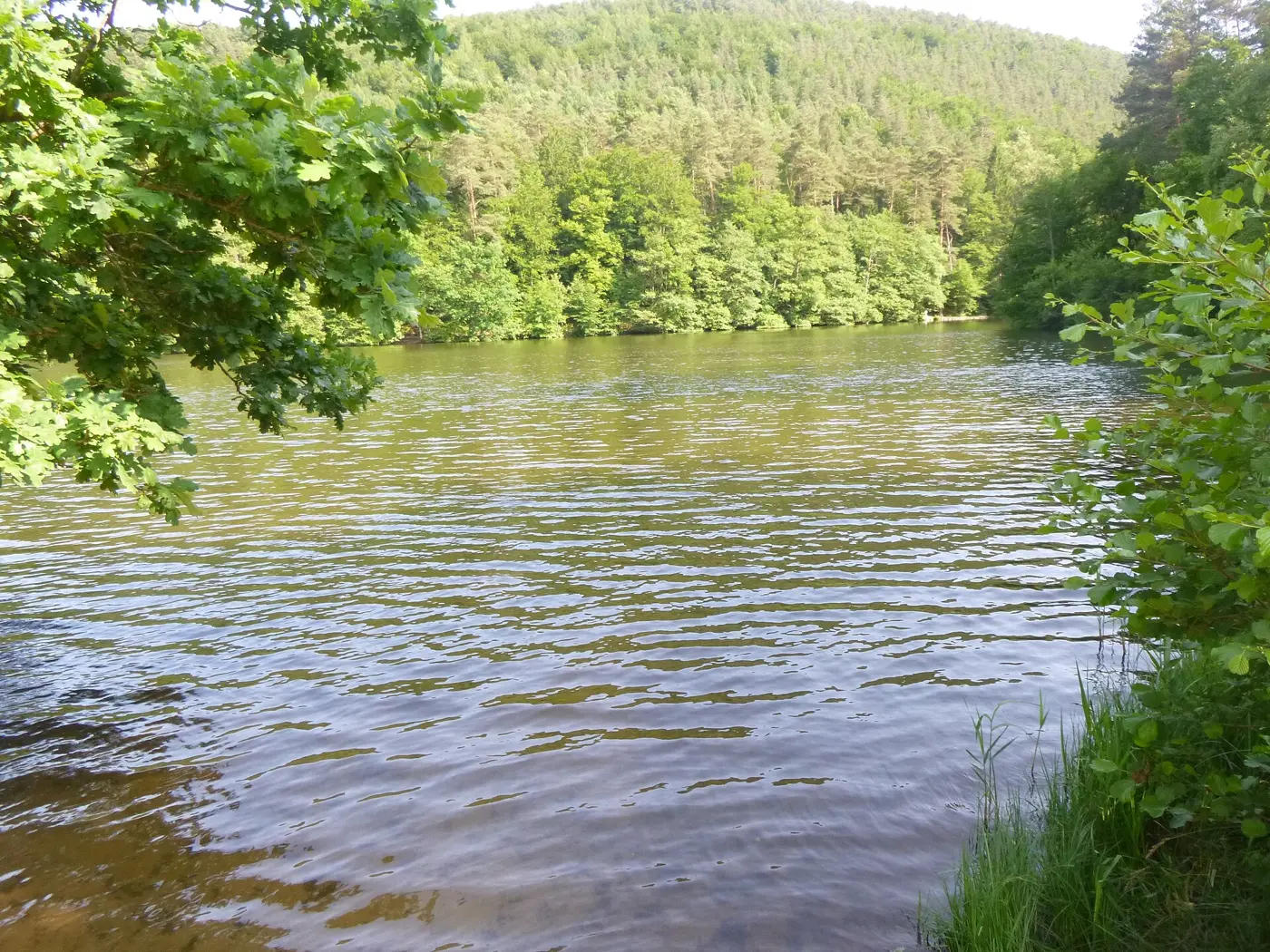 Seehofweiher, Landkreis Südwestpfalz