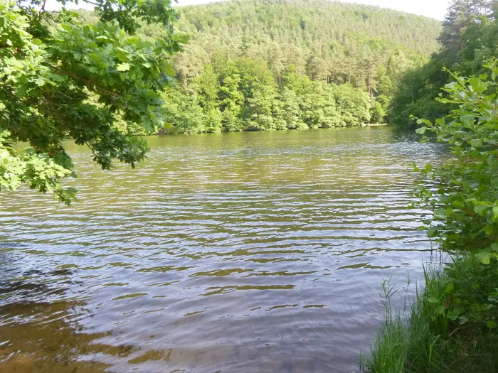Seehofweiher, Landkreis Südwestpfalz